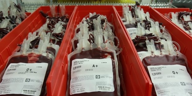 KAN STOKLARI İYİCE AZALDI! KAN OLMADIĞI İÇİN AMELİYATLAR ERTELENMEYE BAŞLADI....