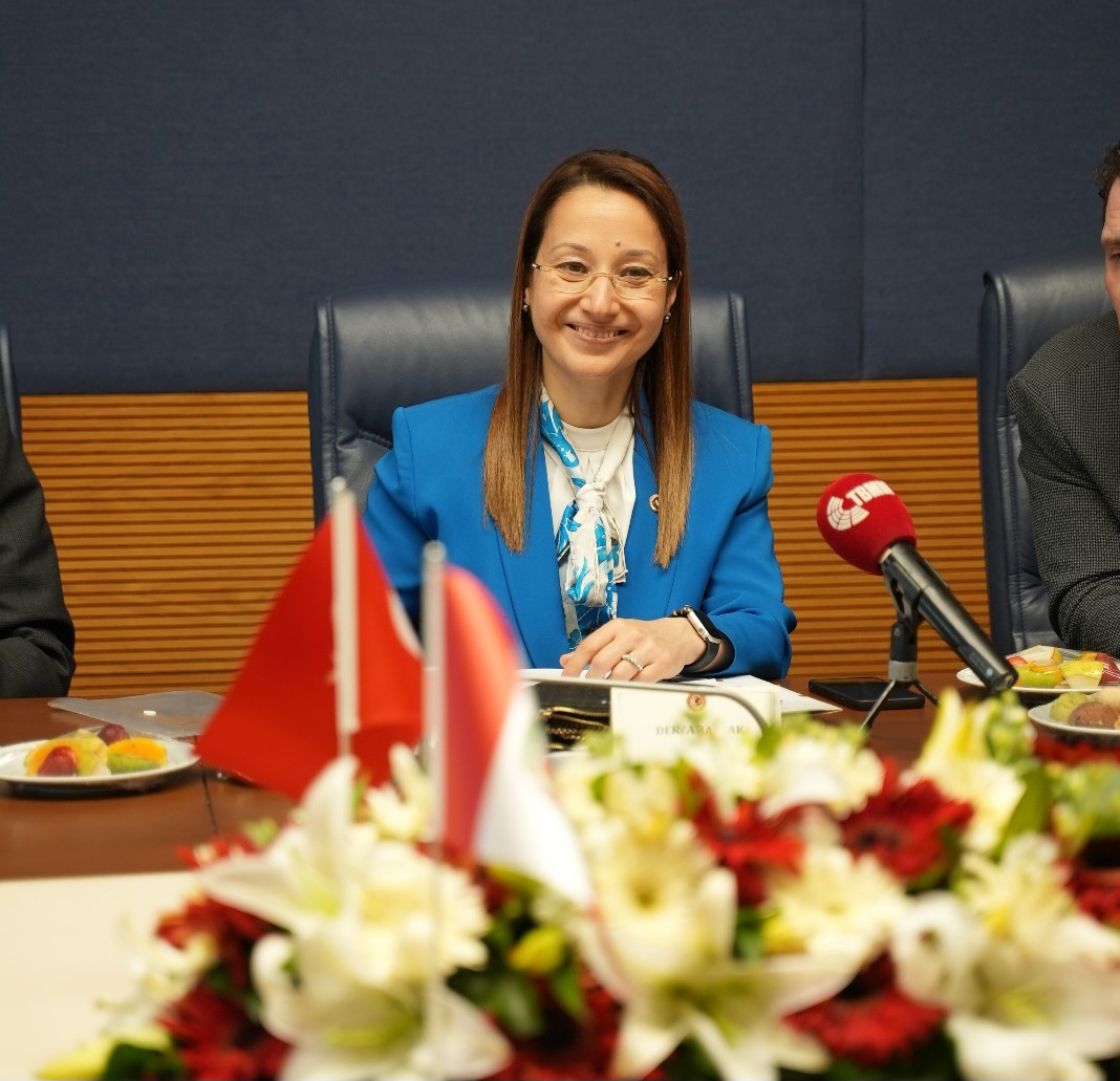 PERU İLE DOSTLUK KÖPRÜLERİ GÜÇLENDİRİLİYOR BAKBAK, PERU BÜYÜKELÇİSİNİ KABUL ETTİ
