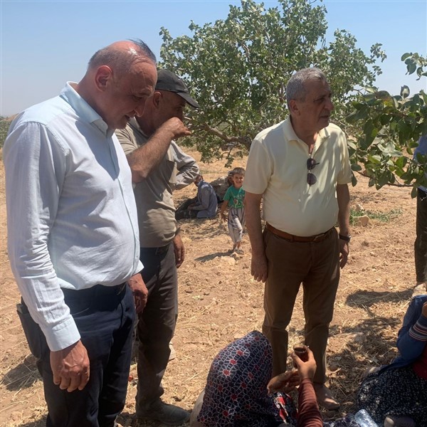 CHP'li vekiller büyük miting öncesi fıstık tarlalarında