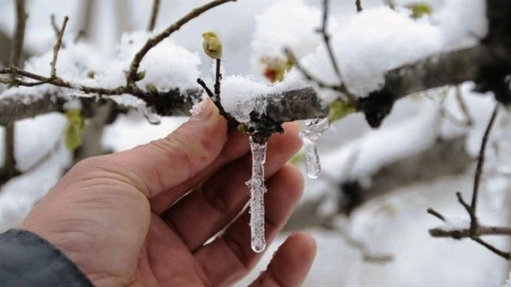 Gaziantep'te Soğuk Hava Geri Dönüyor: Zirai Don Uyarısı!