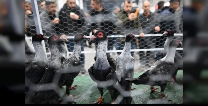 “ŞEHİTKAMİL KUŞÇULARIN BAŞKENTİ OLACAK”