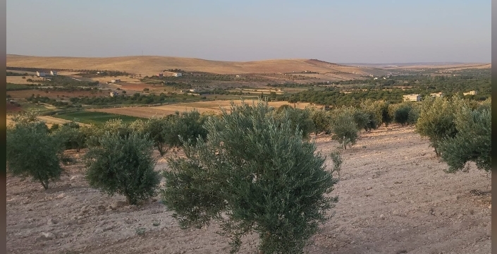 MAHKEME’NİN KARARI MAHALLELİYİ MEMNUN ETTİ